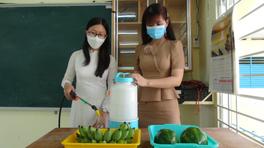 Màng film bảo quản trái cây của Anh Thư có thể bảo quản trái cây lâu chín, lâu hư, ngăn ngừa, diệt khuẩn và kháng nấm mốc