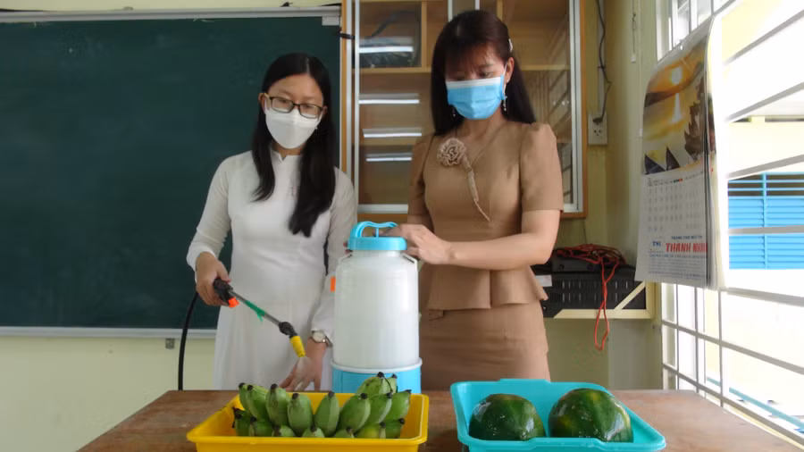 Màng film bảo quản trái cây của Anh Thư có thể bảo quản trái cây lâu chín, lâu hư, ngăn ngừa, diệt khuẩn và kháng nấm mốc