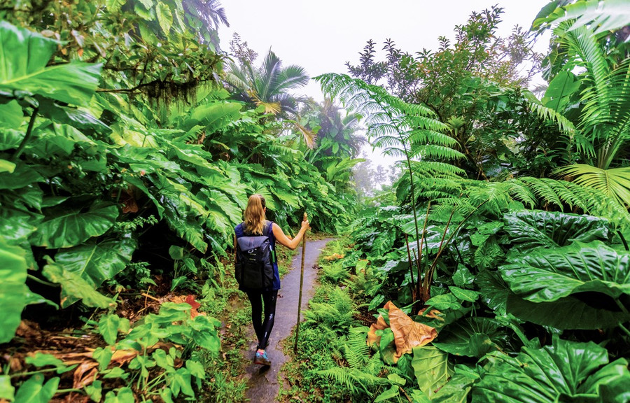 Trong năm 2022, du khách muốn ưu tiên điểm đến vắng vẻ. Ảnh: CTV/Vietnam+