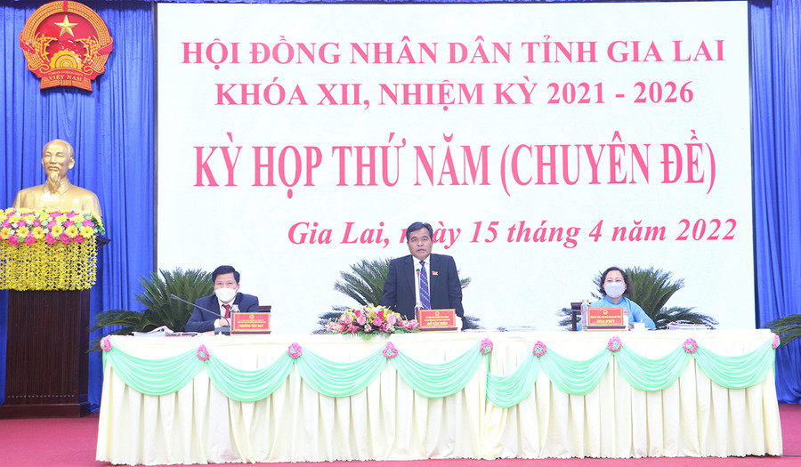 Chủ tịch HĐND tỉnh Hồ Văn Niên kết luận phiên thảo luận. Ảnh: Quang Tấn