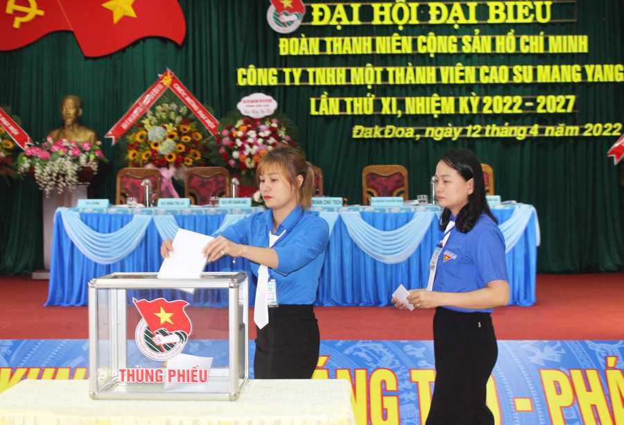 Các đại biểu bỏ phiếu bầu Ban Chấp hành Đoàn Thanh niên Công ty TNHH một thành viên Cao su Mang Yang khóa XI. Ảnh: Phan Lài