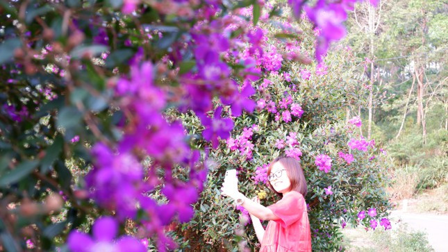 Màu tím hoa sim ven đường nở rộ điểm tô thêm vẻ đẹp của thị trấn giữa đại ngàn Tây Nguyên. Màu tím hoa sim ven đường nở rộ điểm tô thêm vẻ đẹp của thị trấn giữa đại ngàn Tây Nguyên.