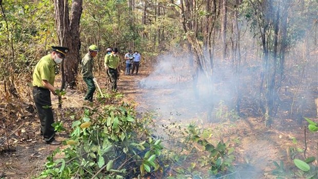 Lực lượng chức năng cùng nhóm hộ nhận khoán, bảo vệ rừng phòng hộ ở huyện Mang Yang, Gia Lai tổ chức dọn, đốt đường ranh cản lửa. Ảnh: Hoài Nam/TTXVN