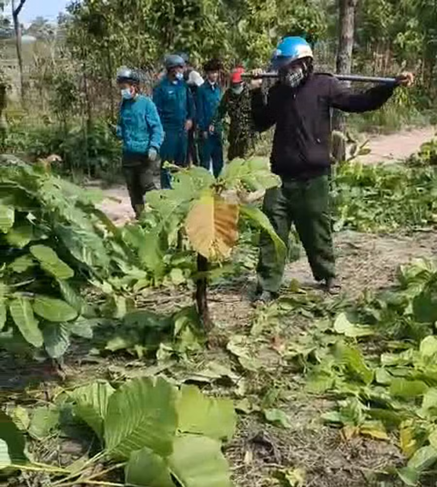 Lực lượng chức năng kiểm tra hiện trường. Ảnh: CTV