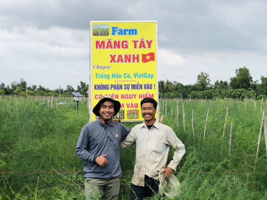 Trang trại trồng măng tây xanh rộng 1,5 ha của gia đình anh Bo (phải). Ảnh: Duy Tân