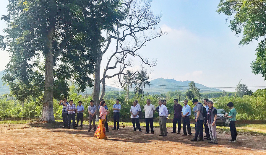 Khảo sát công tác bảo vệ, phát huy giá trị di tích quốc gia đặc biệt tại An Khê Đình. Ảnh: Hoàng Ngọc Khảo sát công tác bảo vệ, phát huy giá trị di tích quốc gia đặc biệt tại An Khê Đình. Ảnh: Hoàng Ngọc