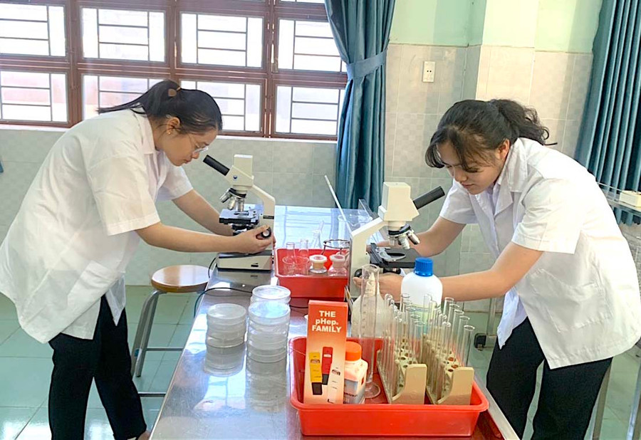 Trần Phạm Phú Bình (bìa phải) và Trần Thị Châu Giang cùng phân lập, quan sát các chủng vi khuẩn tại phòng thí nghiệm của trường. Ảnh: Mộc Trà