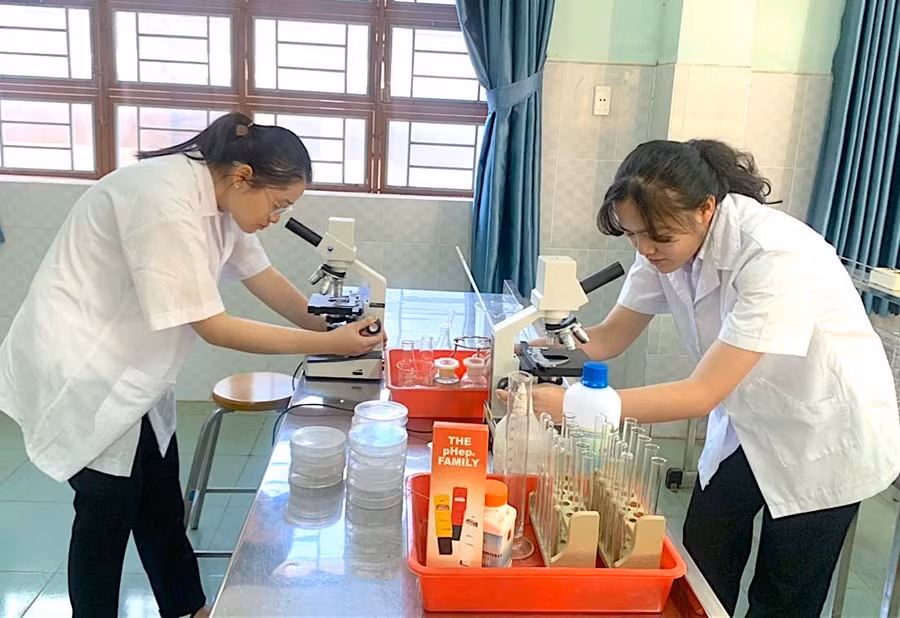 Trần Phạm Phú Bình (bìa phải) và Trần Thị Châu Giang cùng phân lập, quan sát các chủng vi khuẩn tại phòng thí nghiệm của trường. Ảnh: Mộc Trà
