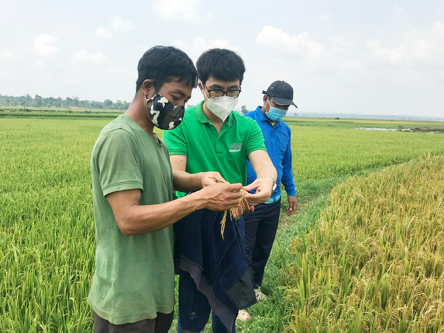 2 Giám đốc HTX Lê Hữu Anh( giữa) trao đổi các hộ sản xuất lúa hữu cơ.jpg