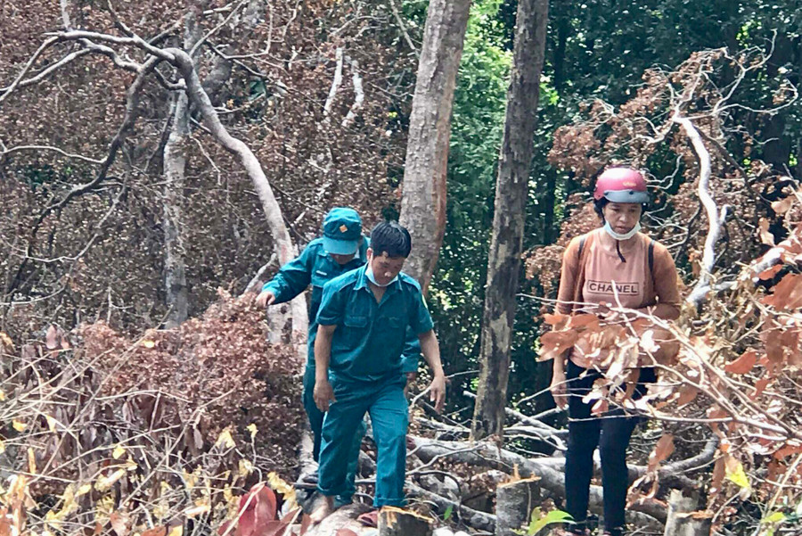 Lực lượng chức năng huyện Ia Grai kiểm tra hiện trường vụ ph1 rừng rại xã Ia Bă. Ảnh: Lê Anh