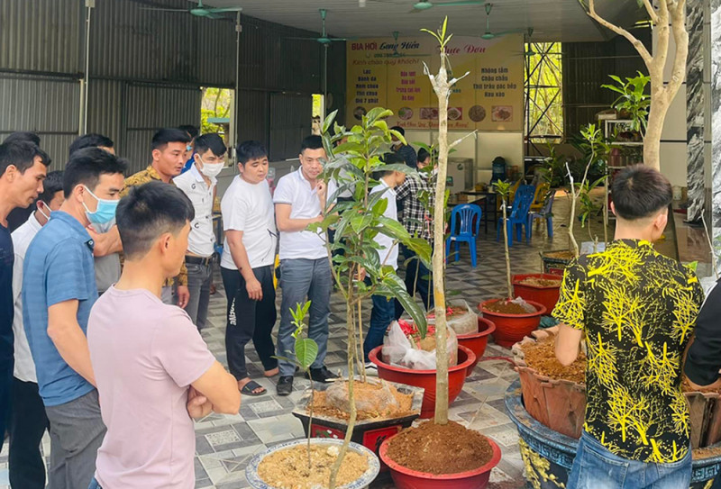 Một phiên chào bán Bạch hải đường