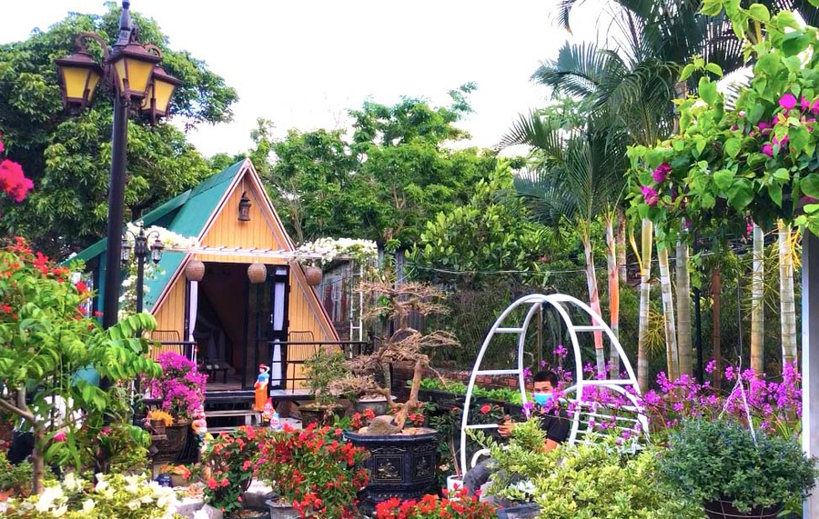 Cả khu nhà vườn của gia đình chị Trần Thị Bạch Tuyết (thôn Tân Bình, xã Tân An, huyện Đak Pơ, tỉnh Gia Lai) được phủ kín sắc hoa. Ảnh: Ngọc Minh