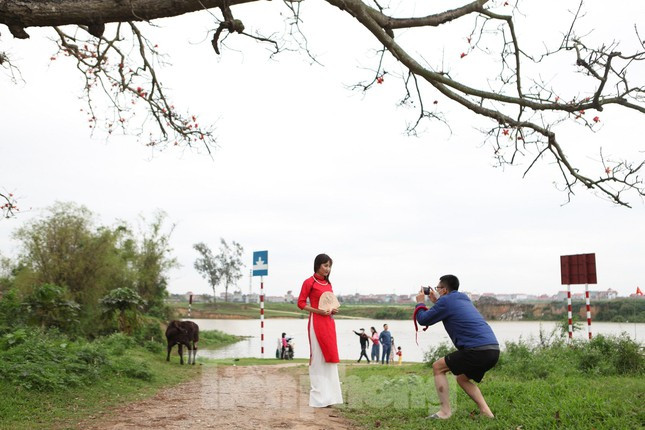 Cây gạo ở xã Tam Giang, nơi các nhân vật chính chọn làm địa điểm hẹn hò, tụ tập trong phim 