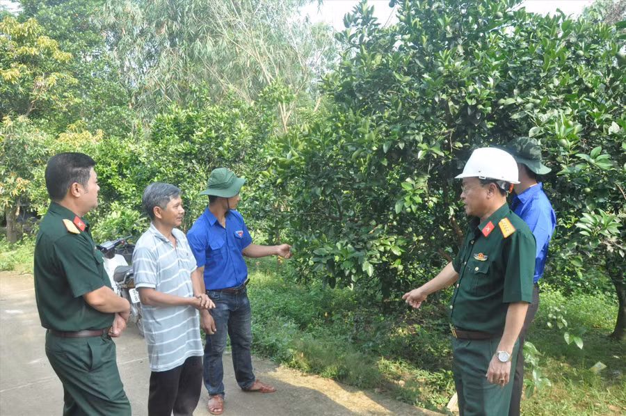 Đại tá Văn Phú Diệp (bên phải) cùng các bạn trí thức trẻ tình nguyện thăm vườn cam của gia đình anh Alăng Rơng.