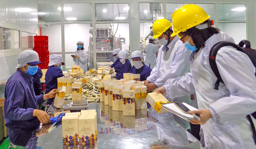 Đóng gói sản phẩm cà phê L’amant tại Công ty TNHH Vĩnh Hiệp (TP. Pleiku). Ảnh: Hà Duy