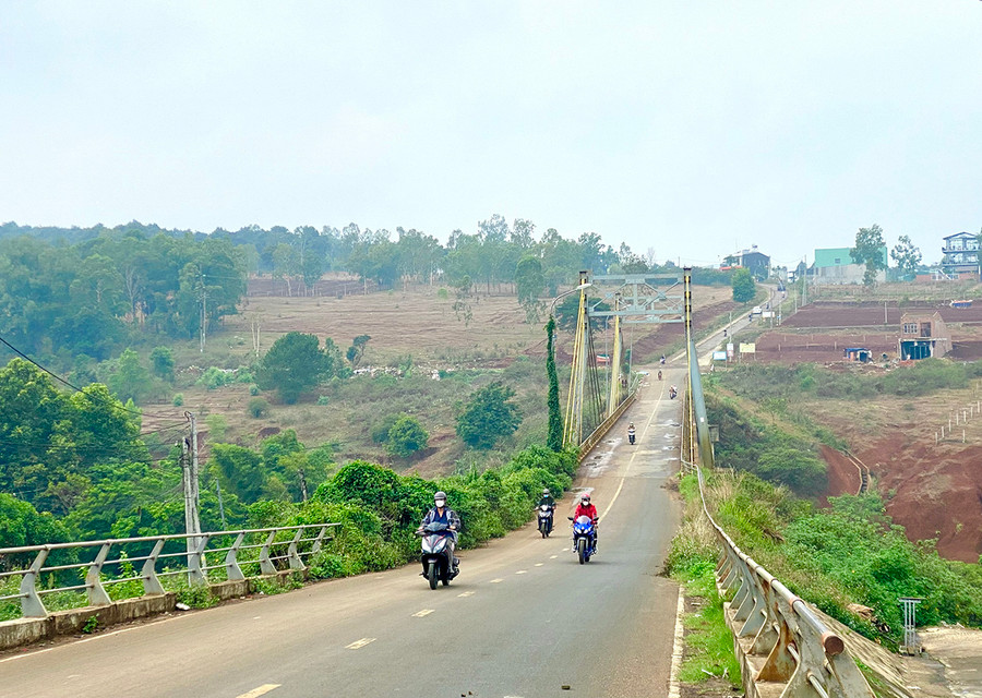 Khu vực đồi thông (xã Ia Dêr, huyện Ia Grai) được quy hoạch thành Khu du lịch văn hóa kết hợp du lịch sinh thái. Ảnh: Hà Duy Khu vực đồi thông (xã Ia Dêr, huyện Ia Grai) được quy hoạch thành Khu du lịch văn hóa kết hợp du lịch sinh thái. Ảnh: Hà Duy