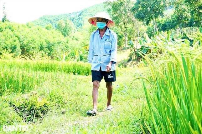 Lúc trước khi mất ngủ, ông thường làm đủ thứ chuyện, từ cuốc cỏ đến gặt lúa, làm ruộng...