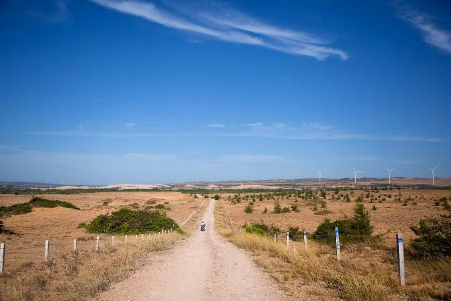 Điện gió nổi bật với cảnh quan bao la bát ngát. Ảnh: Nguyễn Thanh Tuấn