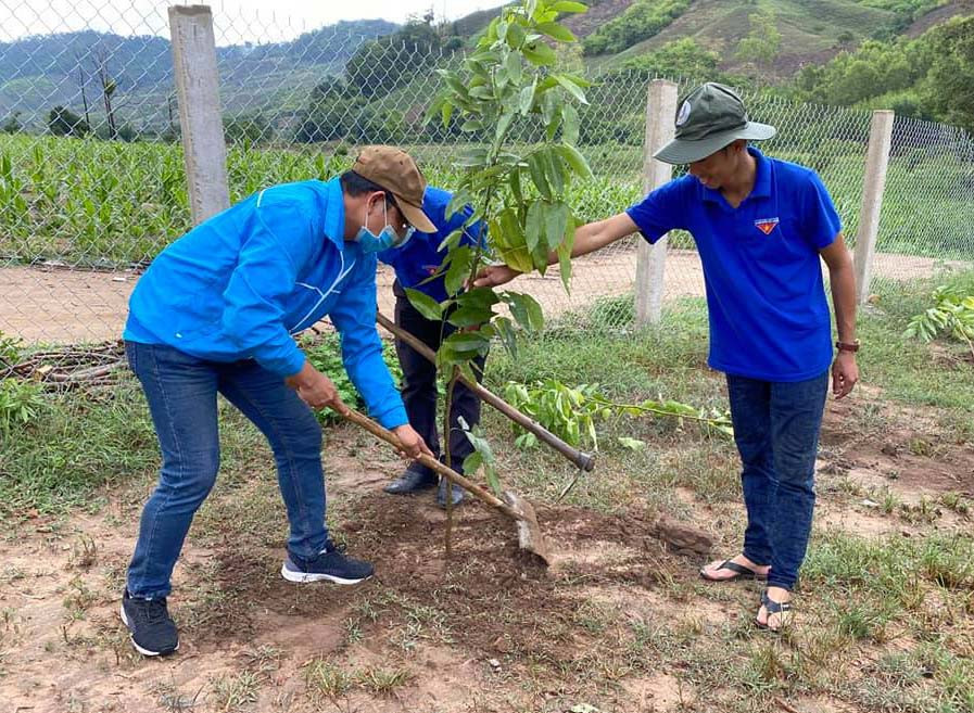 đoàn viên thanh niên công ty trồng cây xanh
