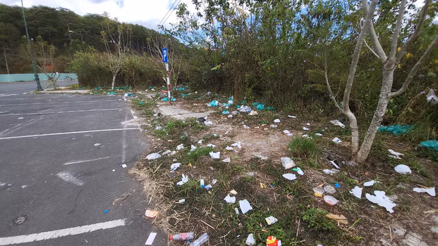 Du khách đến Đà Lạt không được xả rác, hái hoa, bẻ cành. Ảnh: Gia Bình