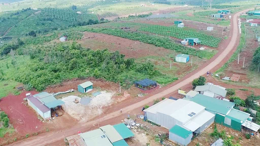 Nhiều ngôi nhà xây dựng trái phép trên phần đất rừng tại xã Quảng Sơn, H.Đắk G’long được giao cho Công ty TNHH thương mại Đỉnh Nghệ - một trong số 37 doanh nghiệp được tỉnh Đắk Nông giao rừng. Ảnh: Thanh Quân Nhiều ngôi nhà xây dựng trái phép trên phần đất rừng tại xã Quảng Sơn, H.Đắk G’long được giao cho Công ty TNHH thương mại Đỉnh Nghệ - một trong số 37 doanh nghiệp được tỉnh Đắk Nông giao rừng. Ảnh: Thanh Quân