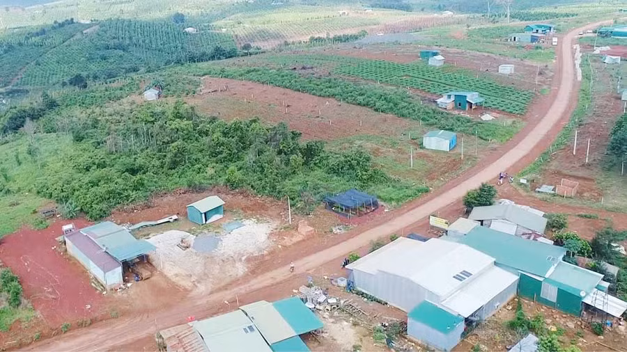 Nhiều ngôi nhà xây dựng trái phép trên phần đất rừng tại xã Quảng Sơn, H.Đắk G’long được giao cho Công ty TNHH thương mại Đỉnh Nghệ - một trong số 37 doanh nghiệp được tỉnh Đắk Nông giao rừng. Ảnh: Thanh Quân