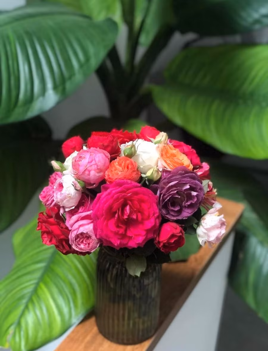 Hoa hồng - được mênh danh là nữ hoàng của các loài hoa. Ảnh: NVCC