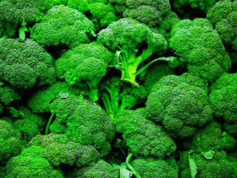 Bông cải xanh là một trong những loại rau giàu chất dinh dưỡng nhất mà bạn có thể tìm thấy. Ảnh: Shutterstock Bông cải xanh là một trong những loại rau giàu chất dinh dưỡng nhất mà bạn có thể tìm thấy. Ảnh: Shutterstock