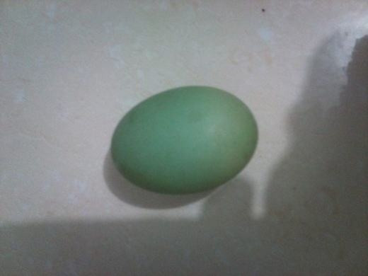 Vỏ dày và cứng, khi cho vào lò nướng chín quả trứng vẫn giữ được màu xanh tự nhiên. Ảnh: Facebook
