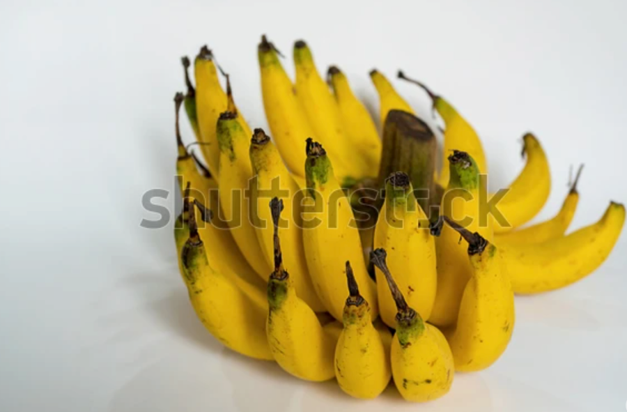 Chuối tiêu có nhiều lợi ích đối với sức khỏe. Ảnh: Shutterstock