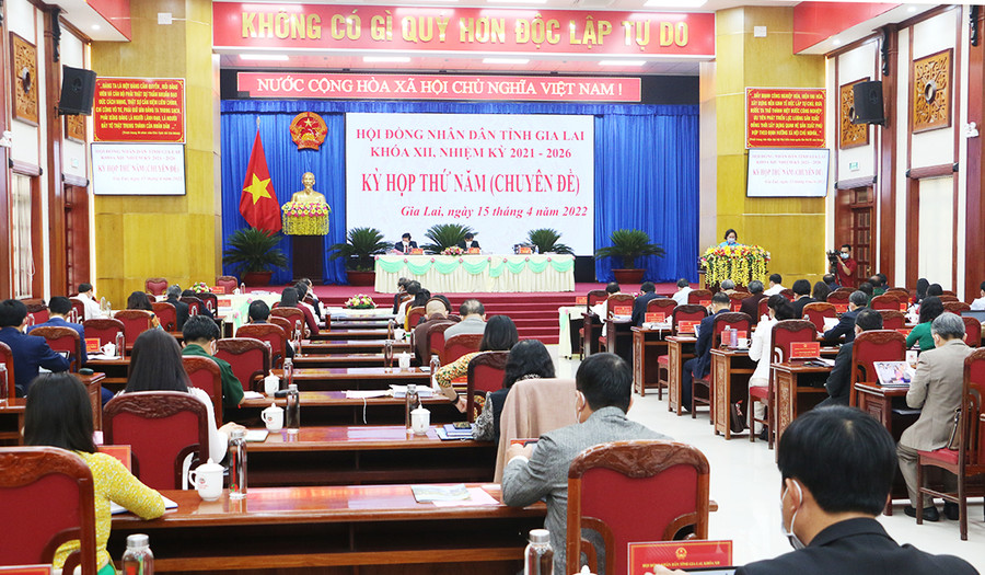 Quang cảnh kỳ họp thứ 5 (chuyên đề). Ảnh: Quang Tấn