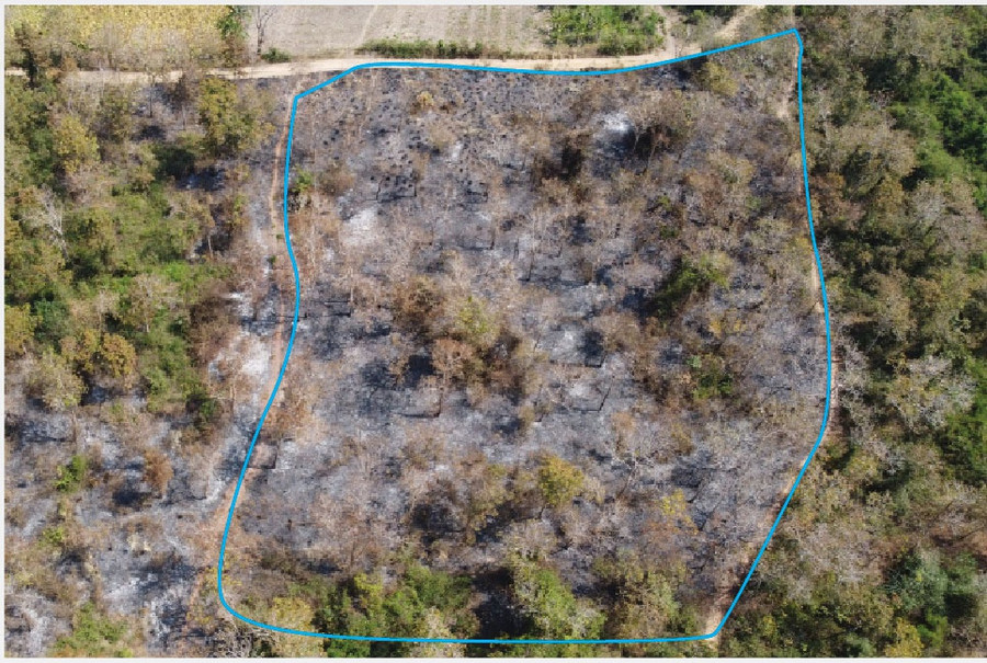 Một khu rừng căm xe quý tại Khánh Hòa bị phá vùng lõi để lấy đất. Ảnh: Hiền Lương