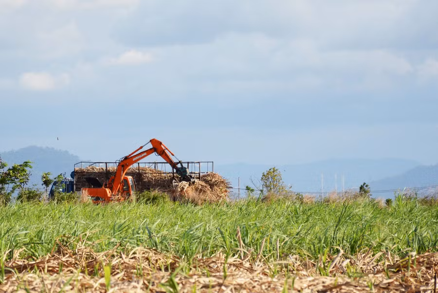 Người dân làng Kte, xã H'Bông cày đất chuẩn bị cho vụ mía mới. Ảnh: Minh Nguyễn