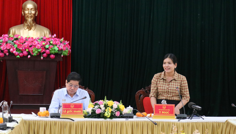 Đồng chí Phó Chủ tịch UBND tỉnh Y Ngọc phát biểu tại buổi làm việc. Ảnh: TH