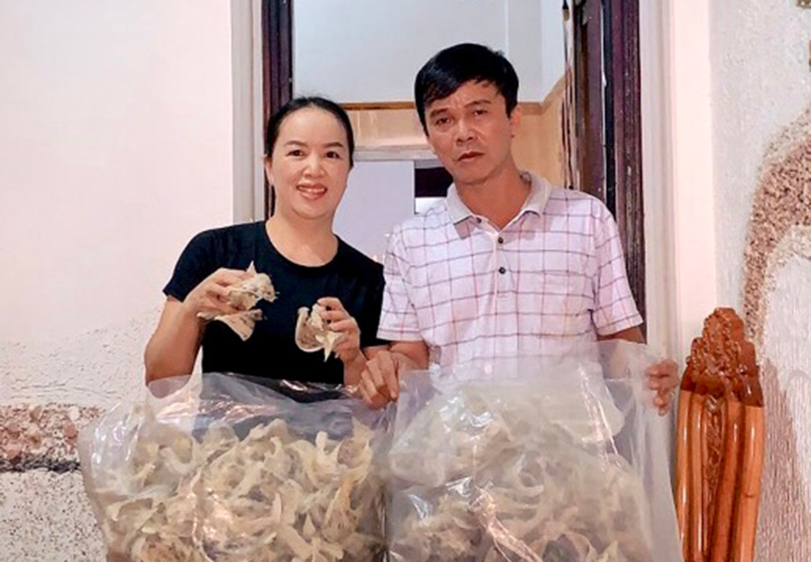 Trung bình mỗi tháng, 2 nhà yến của gia đình ông Phạm Tiến Dũng (848 Hùng Vương, thị trấn Chư Sê) cho thu khoảng 30 kg tổ yến thô. Ảnh: Lê Hòa  Trung bình mỗi tháng, 2 nhà yến của gia đình ông Phạm Tiến Dũng (848 Hùng Vương, thị trấn Chư Sê) cho thu khoảng 30 kg tổ yến thô. Ảnh: Lê Hòa