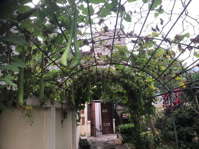 Cổng nhà ở Tây Mỗ