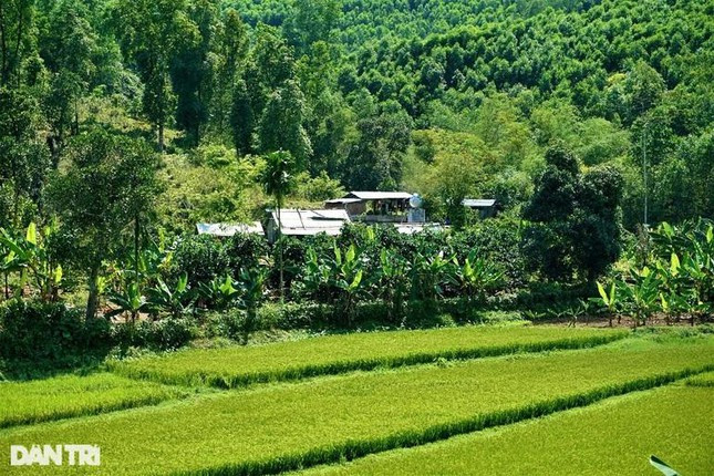 Trang trại ở góc rừng Nông Sơn được ông Ngọc gắn bó từ khi còn trẻ.