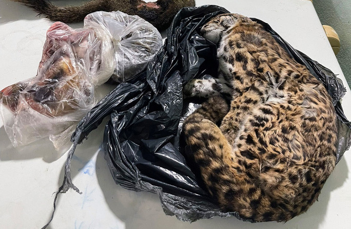  Một số loại động vật hoang dã là tang vật của vụ việc