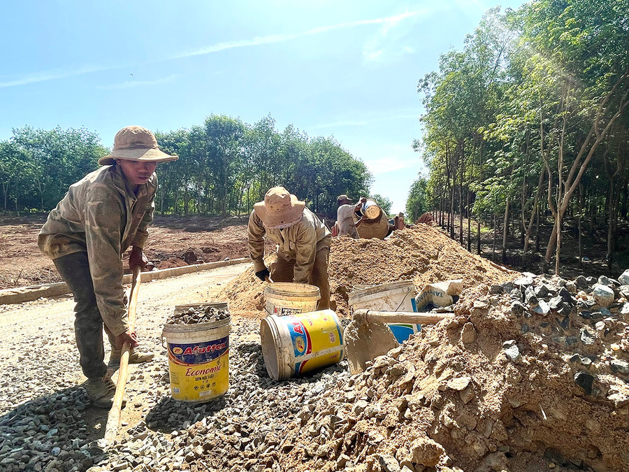 Thi công tuyến đường giao thông biên giới cấp bách huyện Đức Cơ. Ảnh: Minh Nguyễn