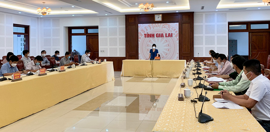 Phó Chủ tịch UBND tỉnh Nguyễn Thị Thanh Lịch phát biểu chỉ đạo tại hội nghị. Ảnh: Như Nguyện Phó Chủ tịch UBND tỉnh Nguyễn Thị Thanh Lịch phát biểu chỉ đạo tại hội nghị. Ảnh: Như Nguyện