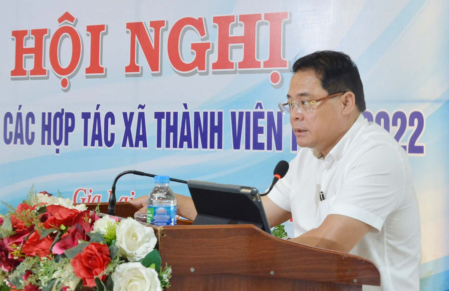 Phó Chủ tịch UBND tỉnh Hồ Phước Thành phát biểu kết luận hội nghị