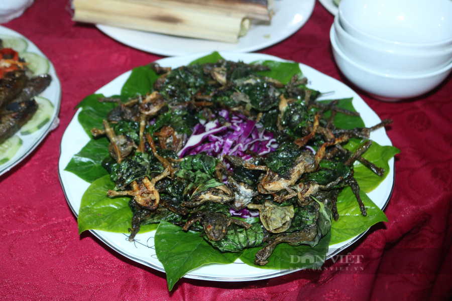 Vũ nữ chân dài (hay còn gọi là nhái cuốn lá lốt chiên) của người Xơ Đăng ở xã Đăk Rơ Ông. H.L