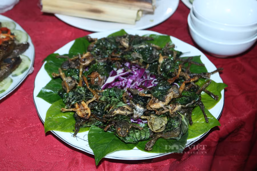 Vũ nữ chân dài (hay còn gọi là nhái cuốn lá lốt chiên) của người Xơ Đăng ở xã Đăk Rơ Ông. H.L