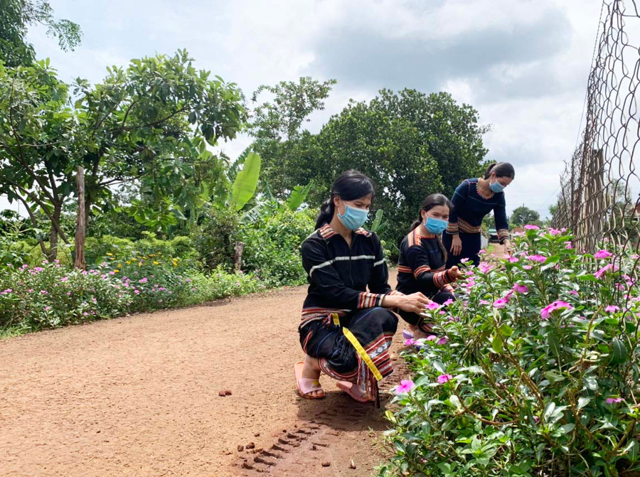 Không chỉ tuyên truyền hạn chế sử dụng túi ni lông, Hội LHPN xã Ia Mơ Nông còn vận động hội viên dọn vệ sinh, trồng con đường hoa để tạo cảnh quan sạch đẹp. Ảnh: Nhật Hào
