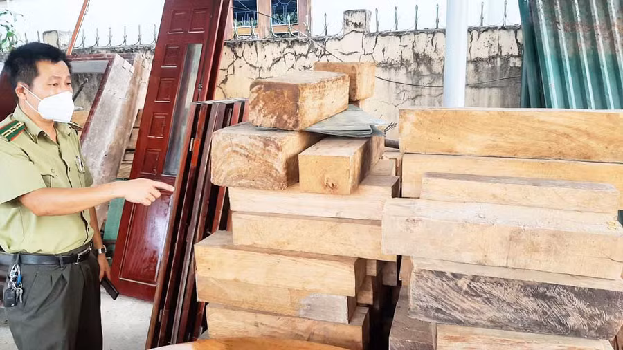  Gỗ tang vật thu giữ tại Hạt Kiểm lâm H.Krông Bông (Đắk Lắk), trong đó có nhiều khối pơ mu. Ảnh: Trung Chuyên