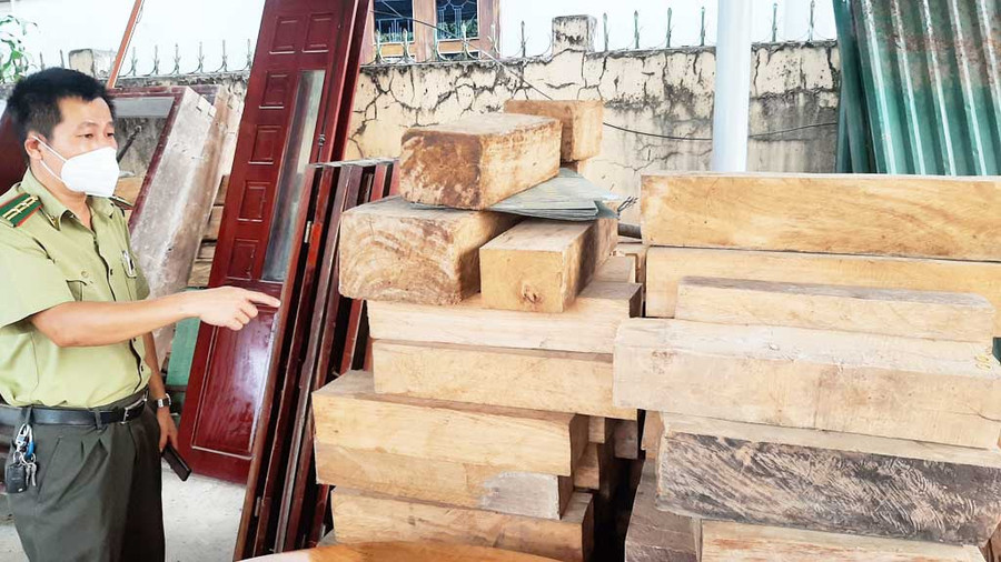 Gỗ tang vật thu giữ tại Hạt Kiểm lâm H.Krông Bông (Đắk Lắk), trong đó có nhiều khối pơ mu. Ảnh: Trung Chuyên Gỗ tang vật thu giữ tại Hạt Kiểm lâm H.Krông Bông (Đắk Lắk), trong đó có nhiều khối pơ mu. Ảnh: Trung Chuyên
