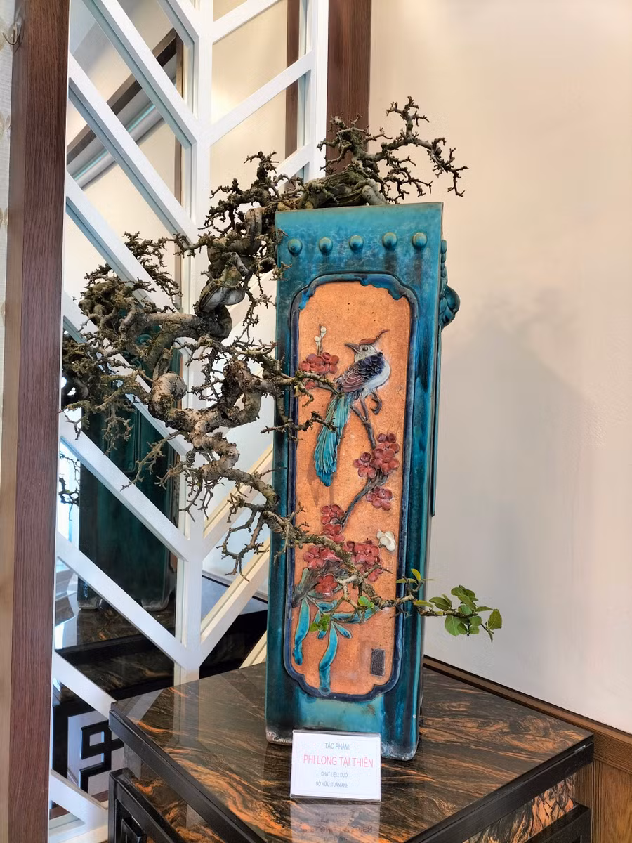 Tác phẩm cây cảnh bonsai Phi Long Tại Thiên.