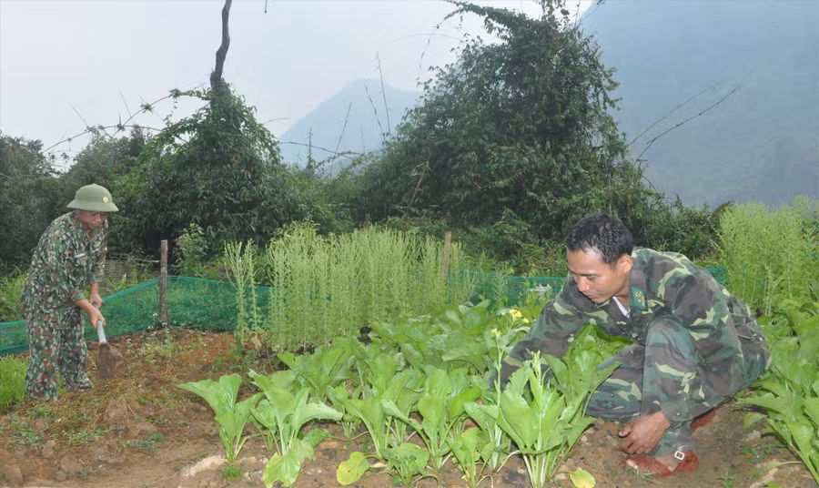 Thiếu tá Zơ Râm Thân (bên phải) cùng Thiếu tá Alăng Xrăng đang chăm sóc vườn rau xanh tại chốt kiểm soát Đắk Ngol.