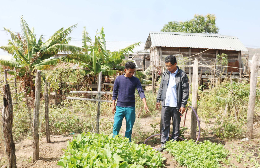 Người dân ở các làng Đồn (xã Chư A Thai, huyện Phú Thiện) đã biết cải tạo đất trồng rau xanh để phục vụ bữa ăn cũng như tạo cảnh quan môi trường xanh mát. Ảnh: Anh Huy