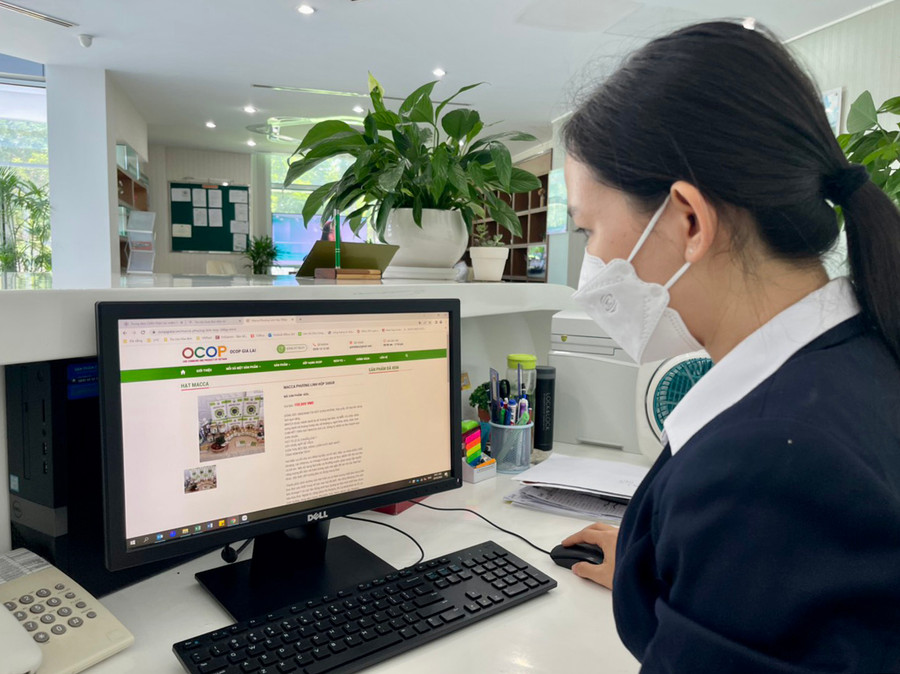 Nhiều khách hàng đã quen với việc mua sắm các sản phẩm đặc trưng của Gia Lai trên các sàn thương mại điện tử. Ảnh: Vũ Thảo